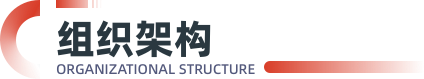 组织架构
