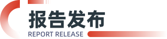 报告发布