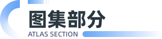 图集部分