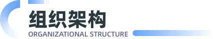 组织架构